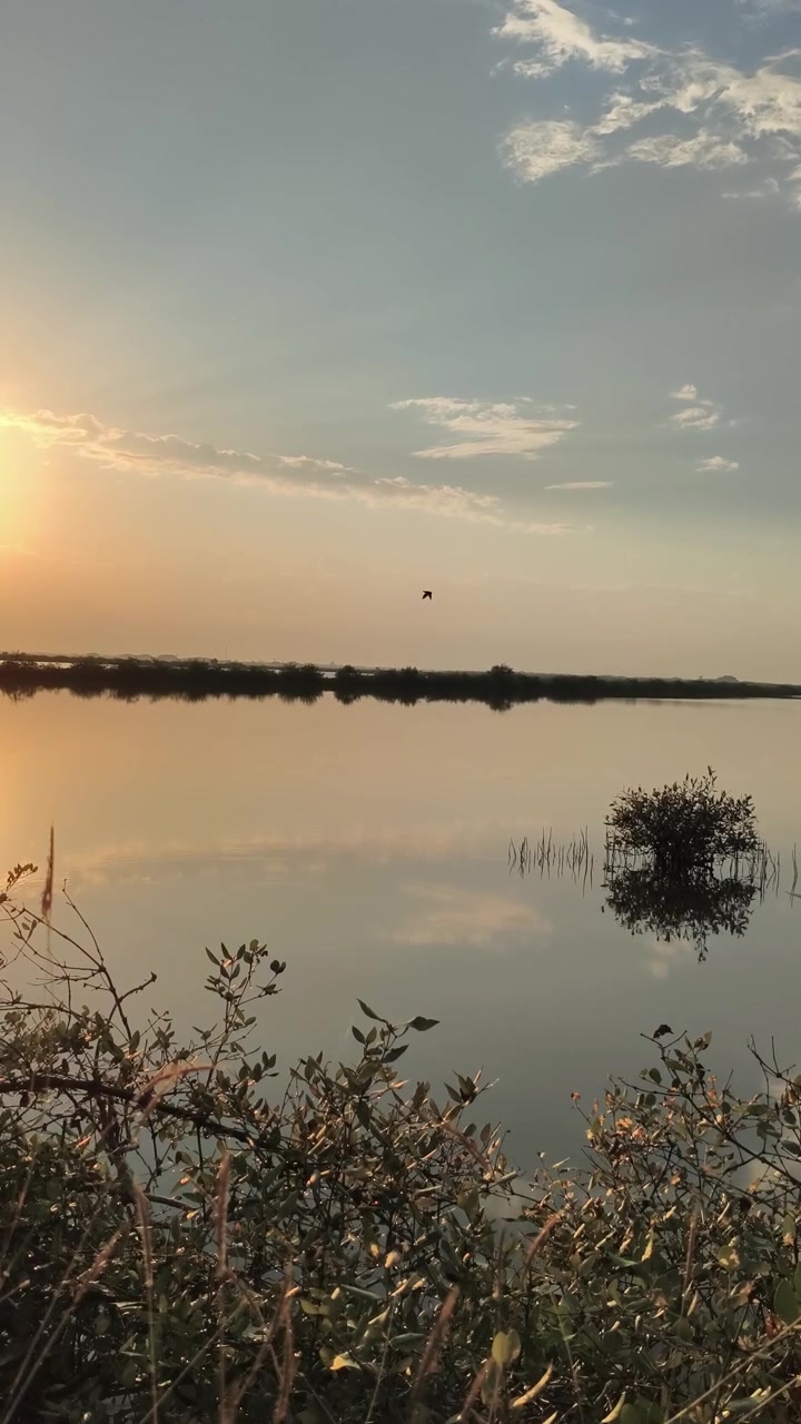 Tramonto sereno su un lago calmo con acqua riflettente.