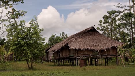 indigenous hut dwelling in the jungle papua - fixed shot