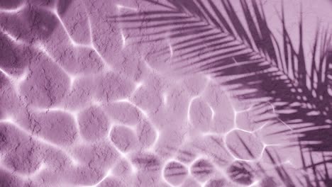 textured pink sand with light water reflections and palm leaf shadow overlay. natural lighting and abstract tropical composition. summer, nature, and minimal design concept. vertical
