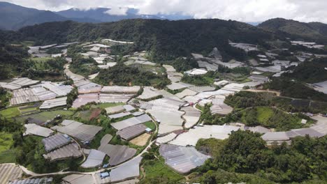 general landscape view of the brinchang district within the cameron highlands area of malaysia