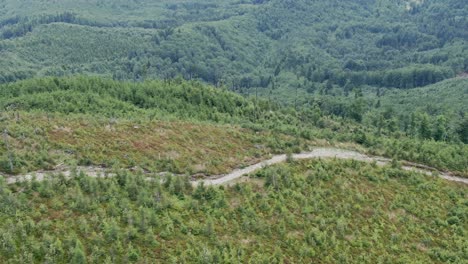 Side-aerial-moving-shot-of-a-path-for-tourists-in-the-mountains-on-a-sunny-day-with-pine-trees-in-the-background