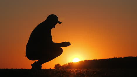 man contemplating sunset over a field