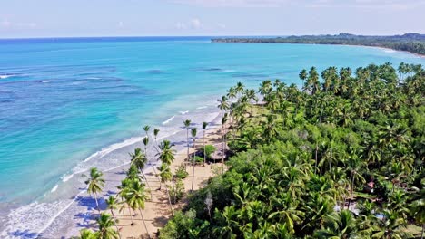 cinematic aerial shot of tropical island with palm trees, golden beach and crystal clear caribbean sea lighting by sun