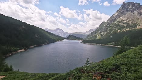 Panoramic view of Lago Alpe del Cavalli framed by mountains and pine-covered slopes in Piedmont, Italy