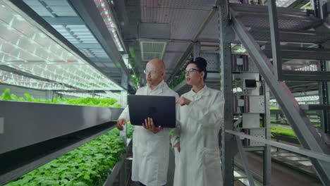 los científicos con abrigos blancos con una computadora portátil y una tableta en una granja vertical con hidropónica hacen datos de investigación sobre verduras en el centro de datos para el análisis y la programación de plantas de riego.