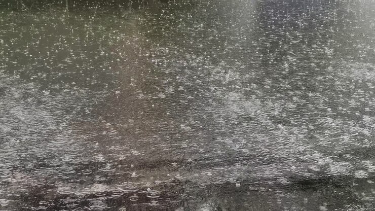 Close-Up Shot Reveals the Beauty of Raindrops Creating Delicate Patterns and Ripples