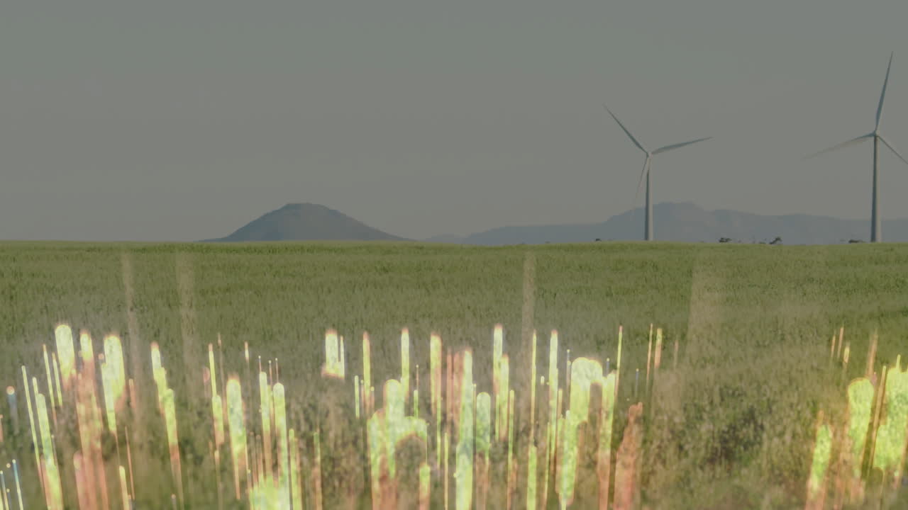 Wind turbines in green field with glowing light animation over grass