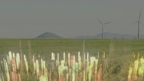 wind turbines in green field with glowing light animation over grass