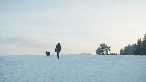 wide shot of a female walking with her dog on beautiful winter evening