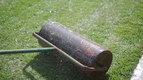 gardener laying a roll of natural lawn turf