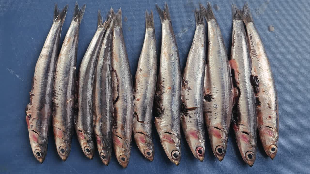 Raw Anchovies