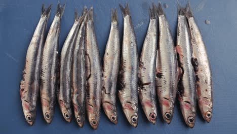 raw anchovies