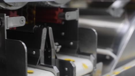 automated capsule production line in a pharmaceutical factory