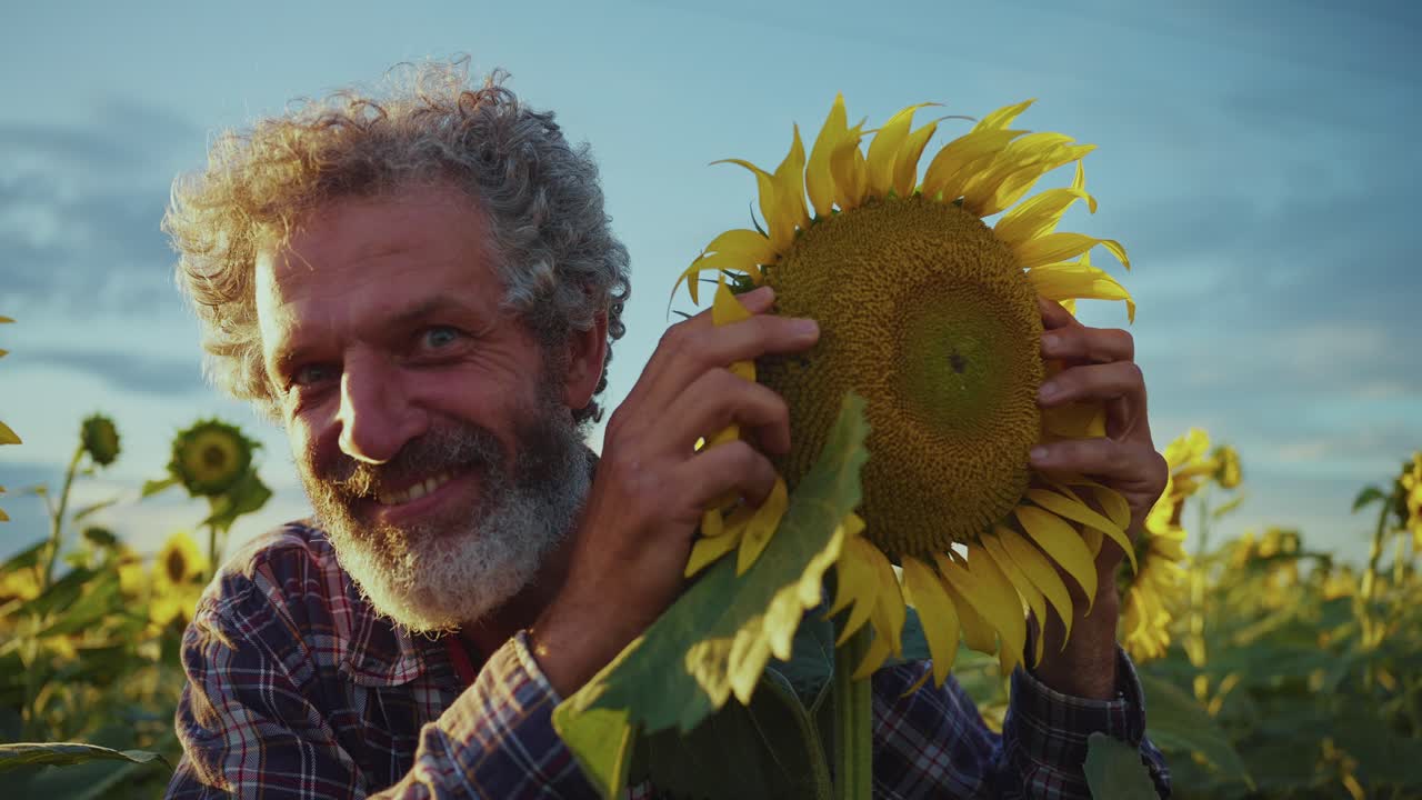 Farmer enjoying sunflowers