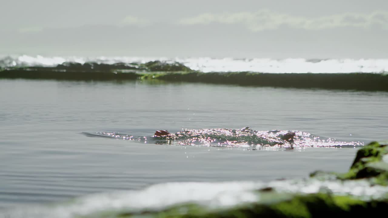 해변 4k에서 물에서 놀고 있는 여자