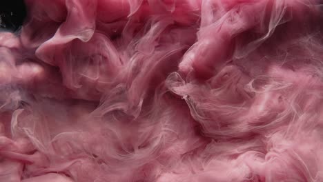 paint water shot color vapor cloud pink white dye