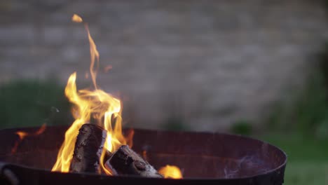 Logs-in-Fire-Pit-4K-01