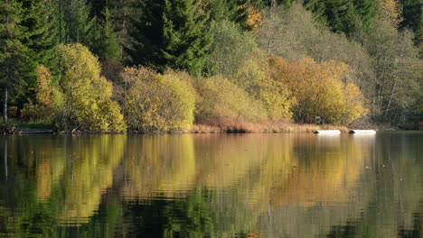 Lago-En-La-Montaña-Rodeado-De-Bosque-Otoñal