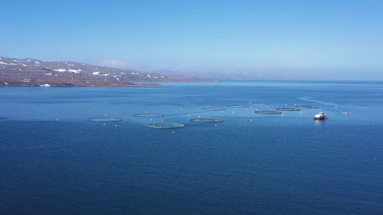 노르웨이에서 연어  ⁇ 시를 하는 공중 촬영