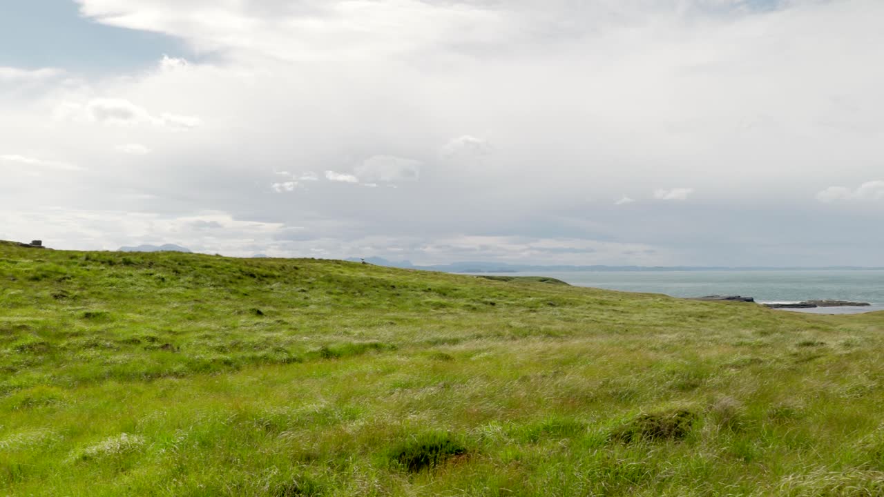 Slow panning shot of a strong breeze blowing a patchwork of green and yellow grass in native habitat on the wild and remote Handa Island in Scotland, eventually looking out towards the ocean.