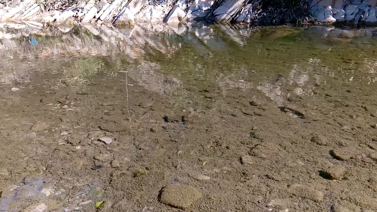 Shallow Creek with Rocks and Reflections