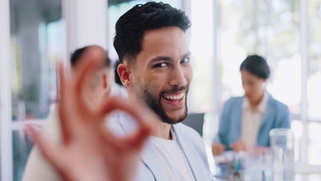 Perfecto,-Feliz-Y-Retrato-De-Un-Hombre-De-Negocios