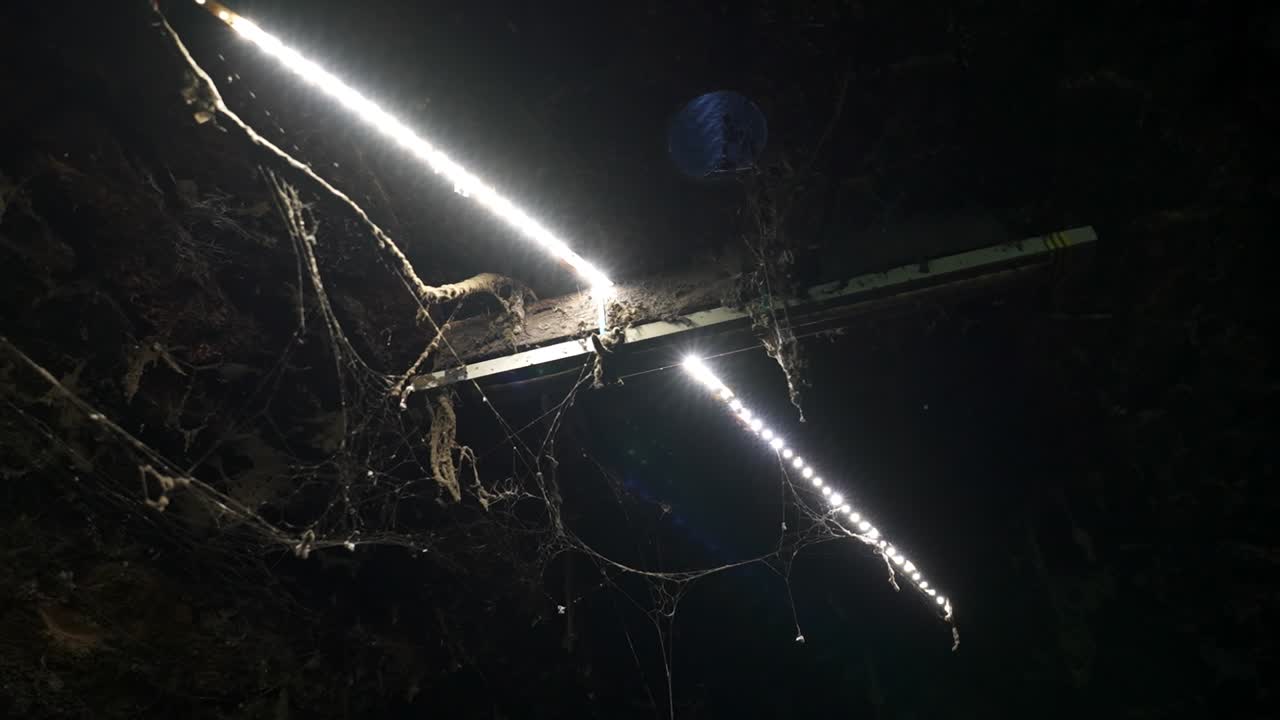 LED light strip covered in spider webs in a dark cellar