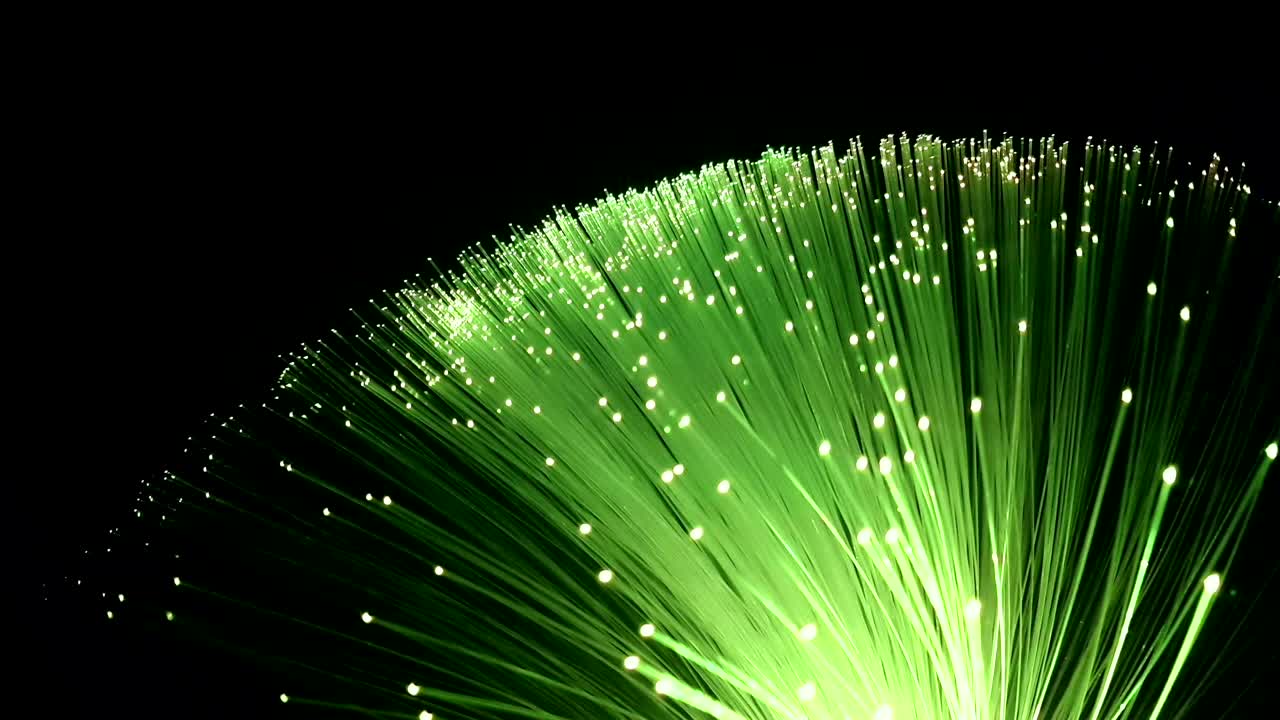 검은색 배경에 광섬유의 희미한 효과와 함께 파란색 성장 어리에서 다채로운 색의 세부 사항, 텍스트를위한 공간, 고속 인터넷을위한 빠른 빛 신호