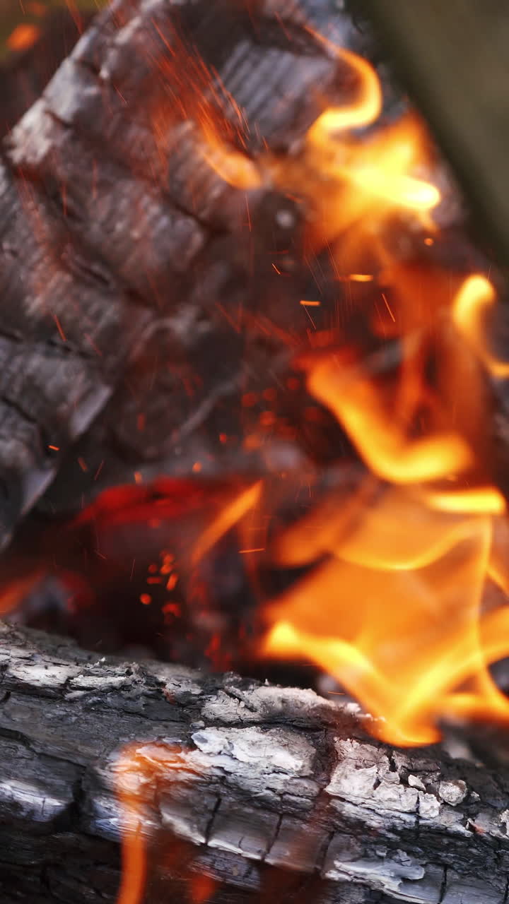 Campfire in nature, closeup. Burning firewood in the fireplace, close up