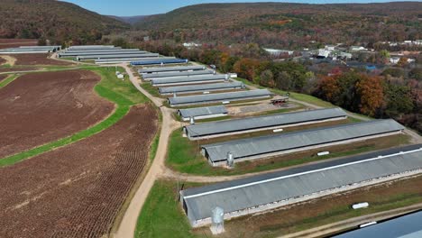 Rural-chicken-house-barns-in-USA