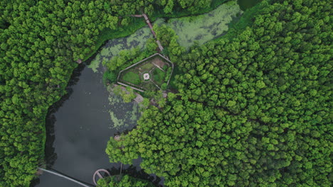 vista aérea de un lago rodeado de denso bosque en nepal