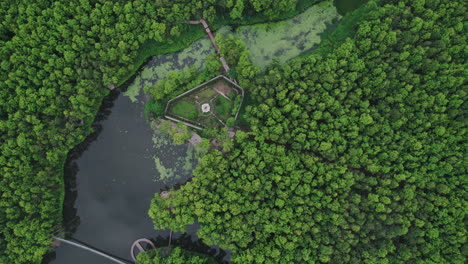 aerial view of lake surrounded by dense forest in nepal