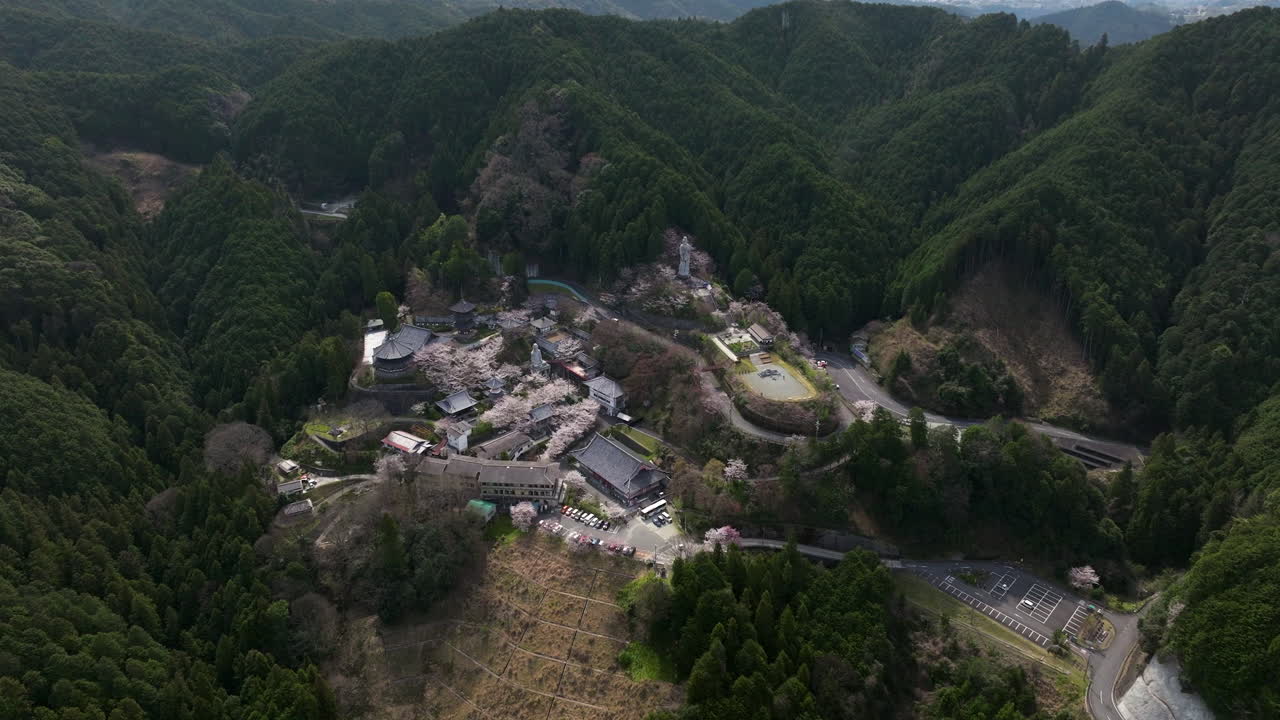 vista aérea del templo budista de tsubosakadera con flores de cerezo en primavera en nara, takatori, japón