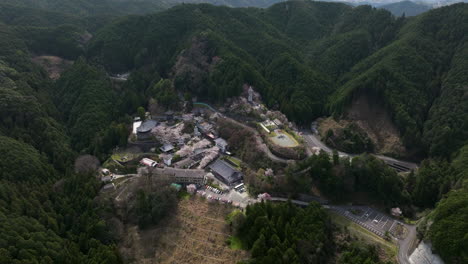 Vista-Aérea-Del-Templo-Budista-Tsubosakadera-Con-Flores-De-Cerezo-En-Primavera-En-Nara,-Takatori,-Japón