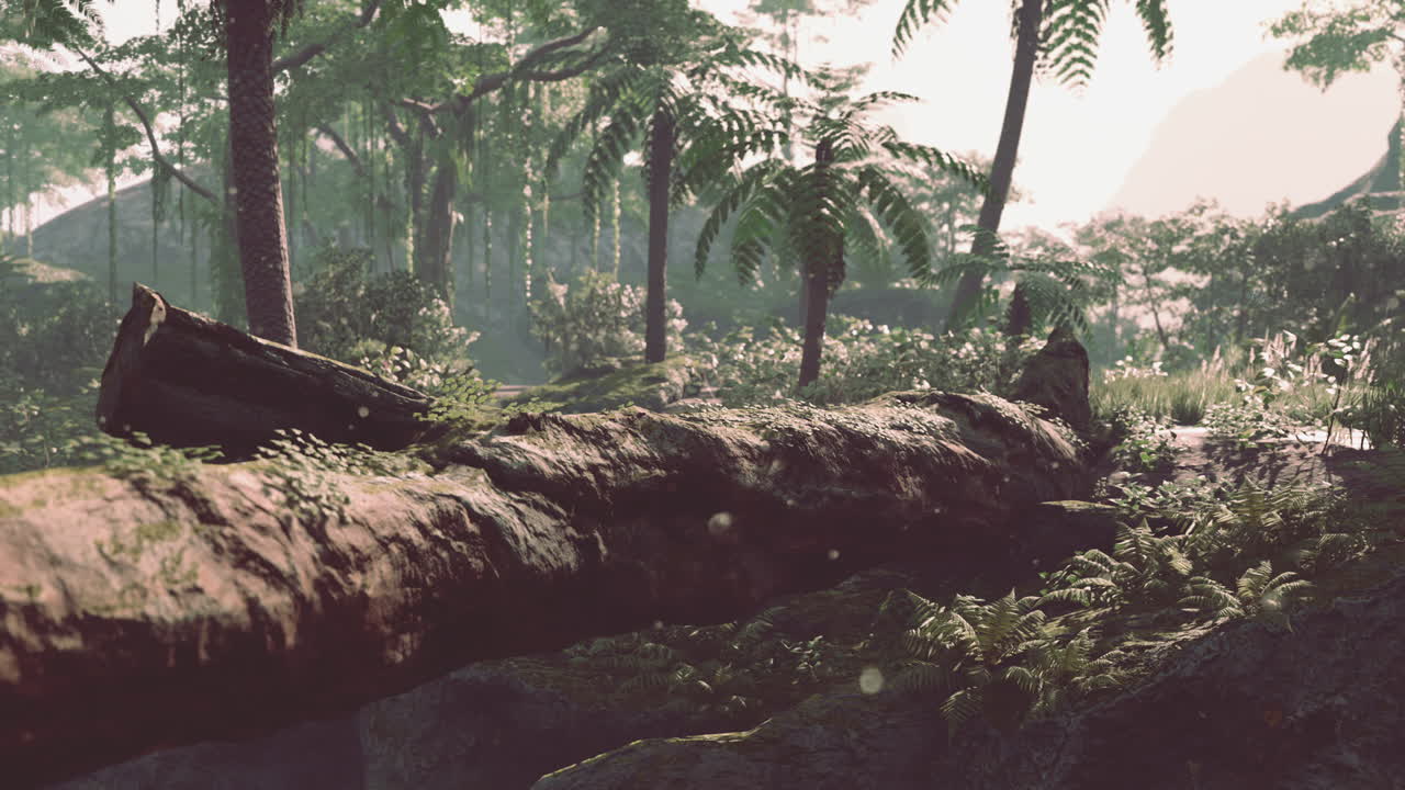 camino en la jungla de malasia