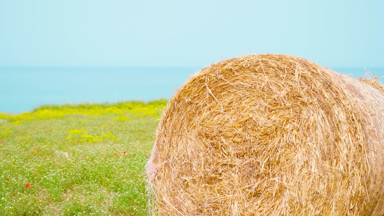 Hay ball in front of the blue sea