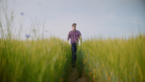 man walking through a wheat field