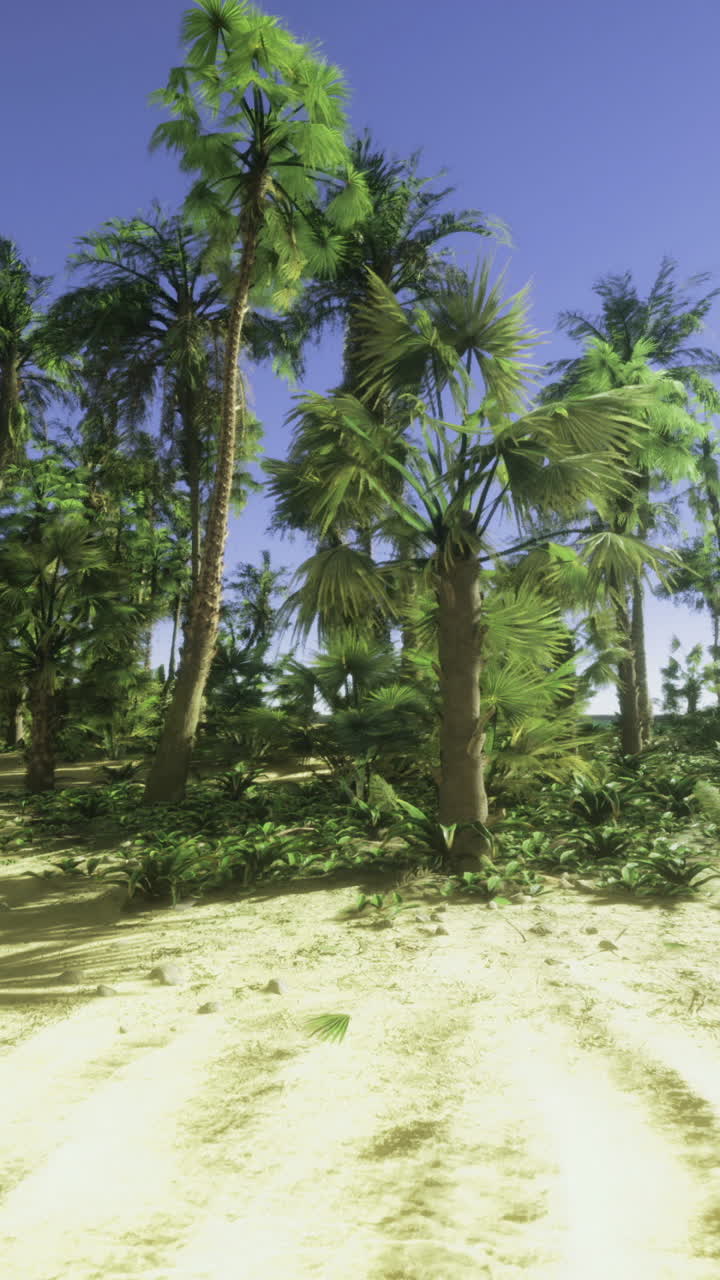 Sunny tropical beach with palm trees and serene ocean view