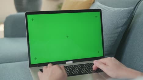 male using laptop with green screen display, video in 4k