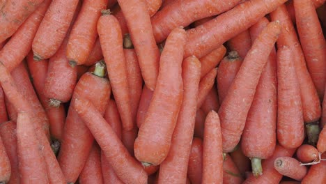 pile of fresh carrots