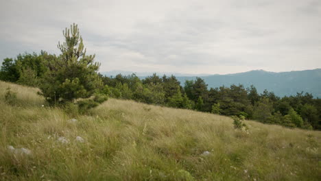 Eine-Aufnahme-Einer-Ladscape-Auf-Mountaintrstelj