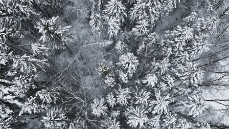 Drohnenbilder-Zeigen-Einen-Wald-Im-Mittleren-Westen,-Der-Nach-Dem-Schneesturm-In-Eine-Dicke-Schneeschicht-Gehüllt-Ist