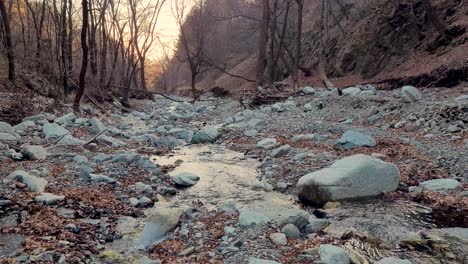 a small river flowing in a large rocky riverbed widened after a flood in a forest