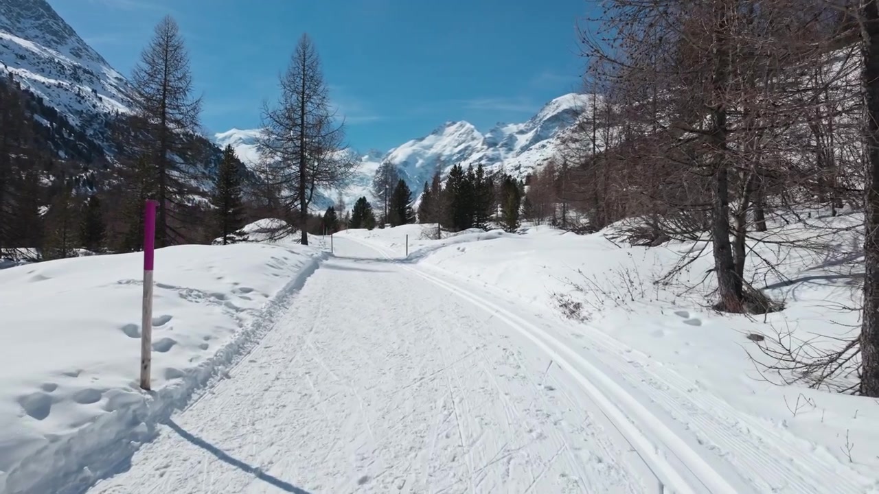 Serene snowy path in Swiss Alps with majestic mountains in view