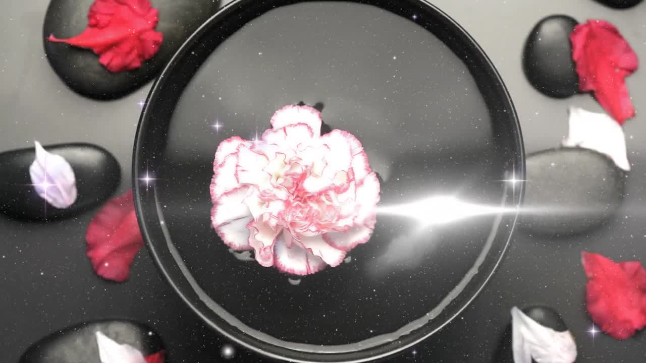 꽃과 잎자루 위에 빛의 반점과 별의 애니메이션