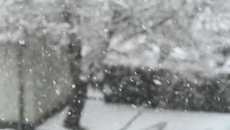 cámara lenta de nieve que cae. fondo de invierno borroso