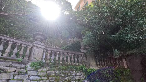 la luz del sol brillando a través de los árboles en un jardín