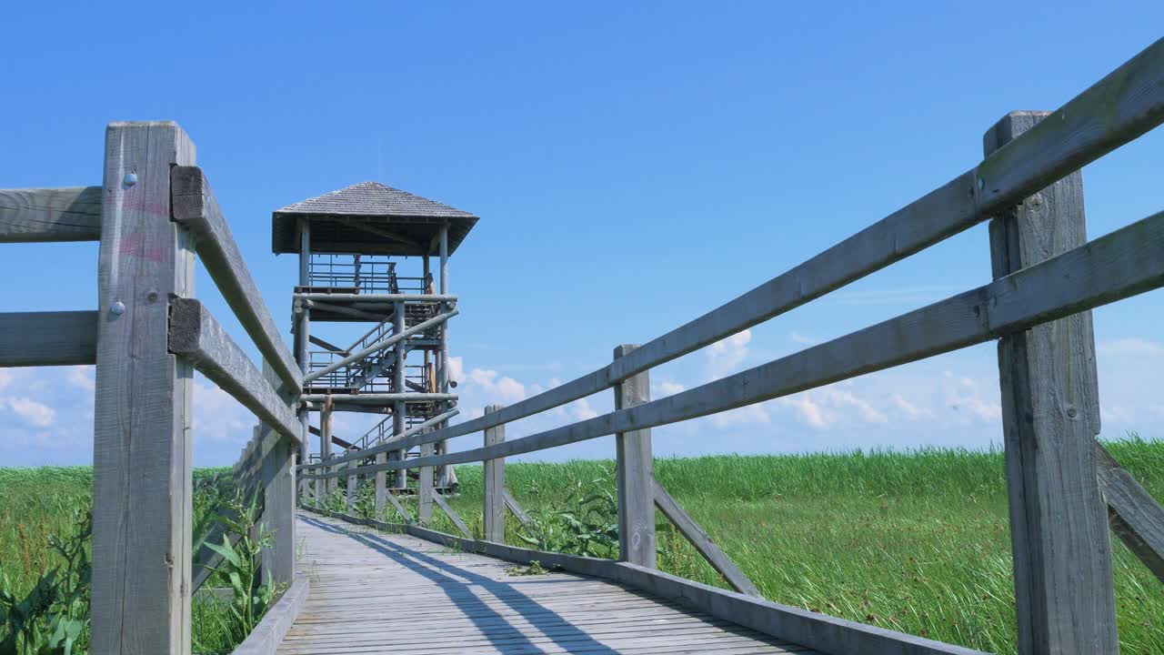 vista del camino del puente peatonal y la torre de observación de aves en el lago liepaja en un día soleado de verano con nubes escénicas, tiro amplio de ángulo bajo