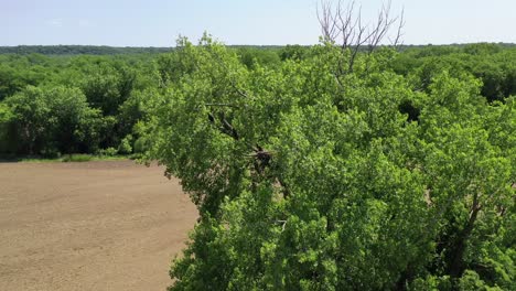 aerial view of plowed farm land, forest and blue skies