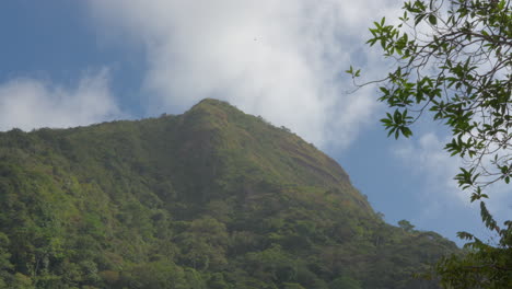 el pico de la montaña tropical en san carlos con exuberante vegetación y marco de hojas, timelapse